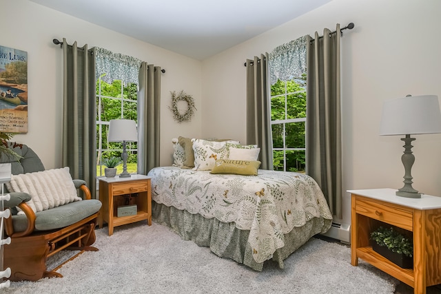 5 Willard Way, Raymond, ME 04071 - bedroom featuring multiple windows and light colored carpet