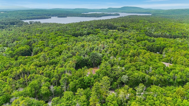 5 Willard Way, Raymond, ME 04071 - bird's eye view of a heavily wooded area and a water and mountain view