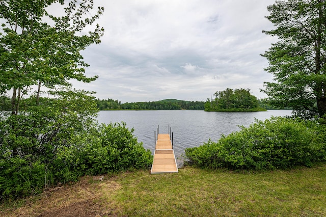 302 Spring St, Brownfield, ME 04010 - dock featuring a water view and a forest view