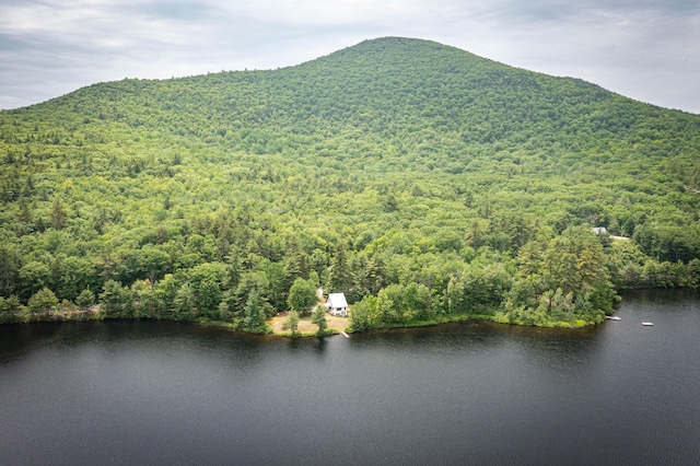 302 Spring St, Brownfield, ME 04010 - mountain view with a heavily wooded area and a large body of water