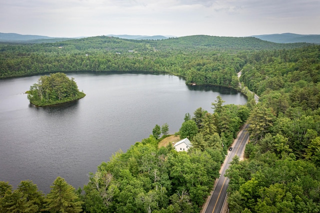 302 Spring St, Brownfield, ME 04010 - bird's eye view of a water and mountain view