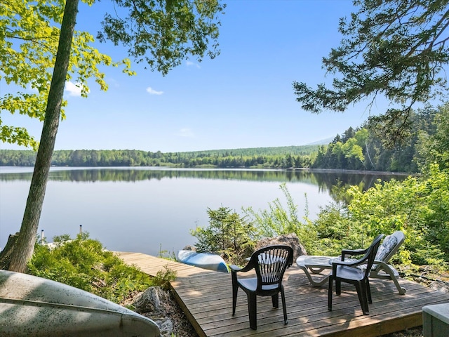 132 Gardner Point Rd, Mount Chase, ME 04765 - photo 1