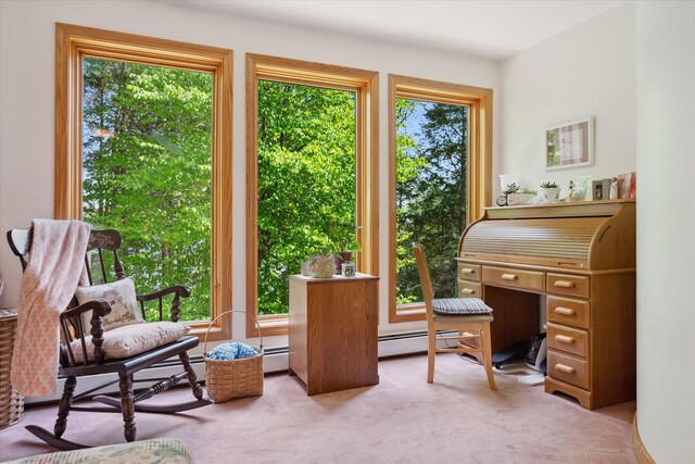 132 Gardner Point Rd, Mount Chase, ME 04765 - photo 31
