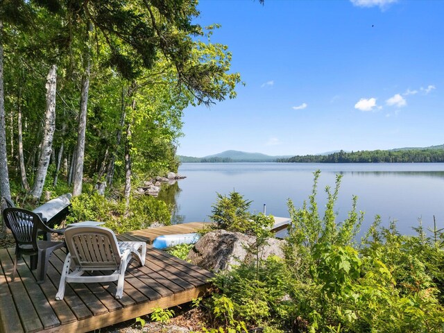 132 Gardner Point Rd, Mount Chase, ME 04765 - photo 53