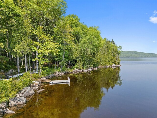 132 Gardner Point Rd, Mount Chase, ME 04765 - photo 54
