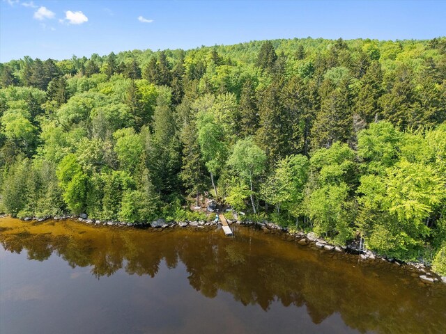 132 Gardner Point Rd, Mount Chase, ME 04765 - photo 56