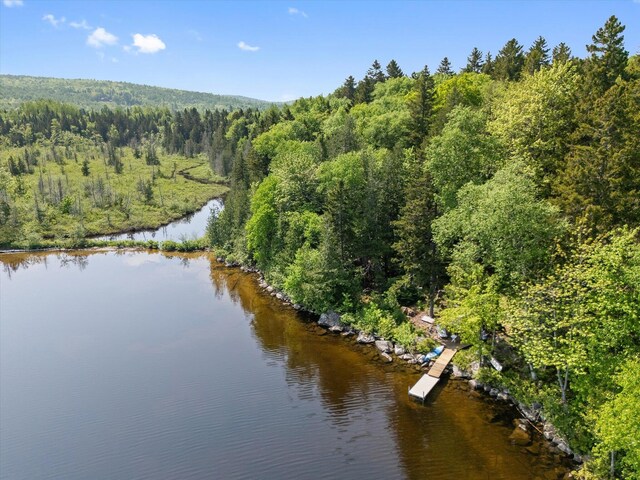 132 Gardner Point Rd, Mount Chase, ME 04765 - photo 58