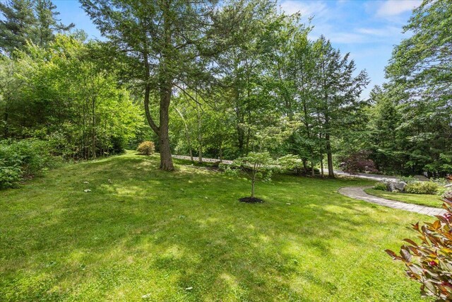 22 Fox Run Rd, Gray, ME 04039 - view of green lawn