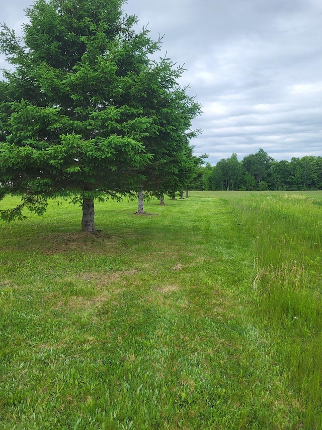 396 E Ridge Rd, Mars Hill, ME 04758 - view of yard