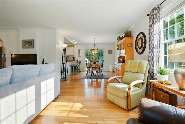 4 Hawthorne Pl, Lewiston, ME 04240 - living area with healthy amount of natural light, light wood-style flooring, and ornamental molding