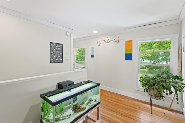 200 Main St, Freeport, ME 04032 - hallway featuring crown molding, light wood finished floors, and recessed lighting