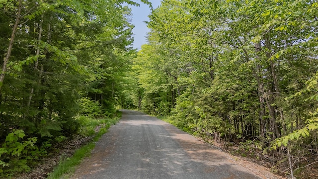60 Beech Ridge Ln, Brownville, ME 04414 - photo 54