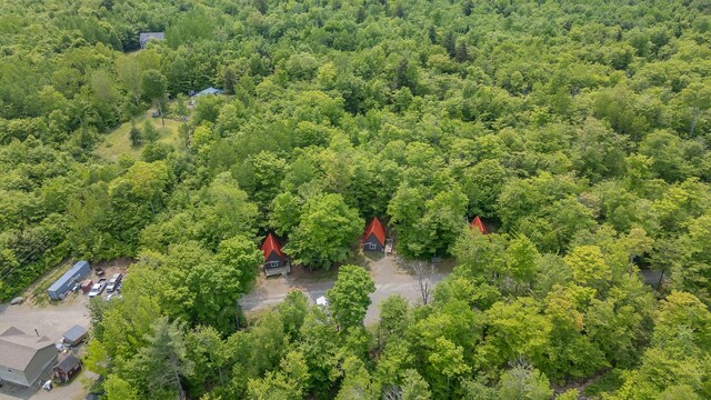 60 Beech Ridge Ln, Brownville, ME 04414 - photo 104