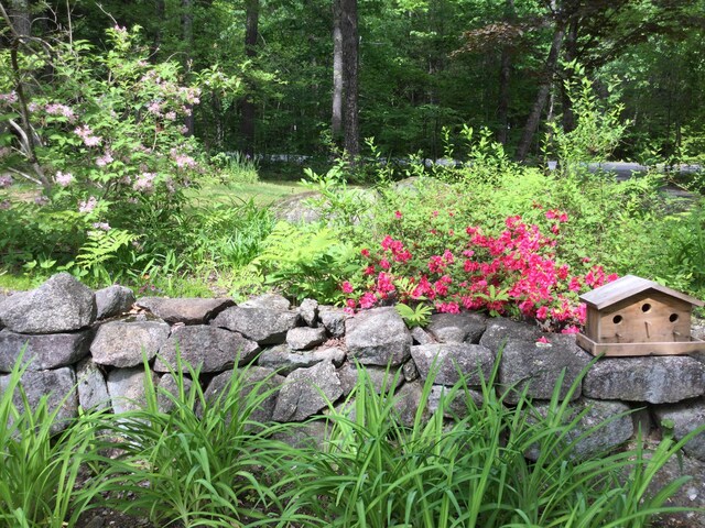47 Perimeter Ave, Standish, ME 04084 - photo 81