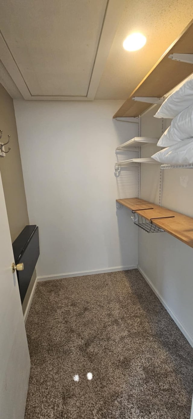 9 Hubbard Farms Rd Unit 15, Orono, ME 04473 - spacious closet with carpet floors