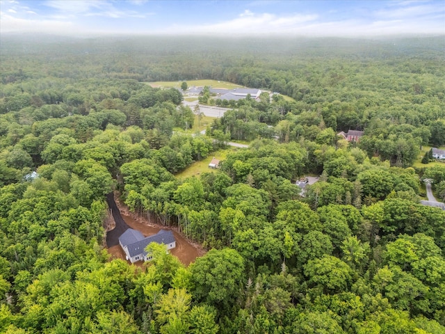18 Crestwood Dr, Orrington, ME 04474 - drone / aerial view of a forest