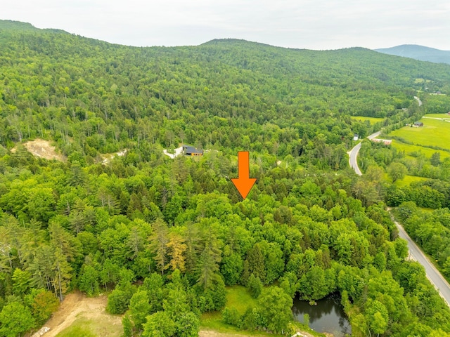 663 E E Bethel Rd, Bethel, ME 04217