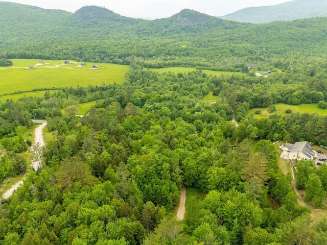 663 E E Bethel Rd, Bethel, ME 04217