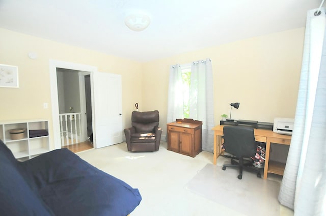 124 Palm St, Bangor, ME 04401 - photo 26