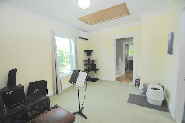 124 Palm St, Bangor, ME 04401 - photo 34