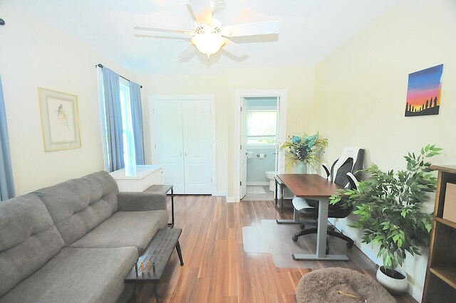 124 Palm St, Bangor, ME 04401 - photo 20