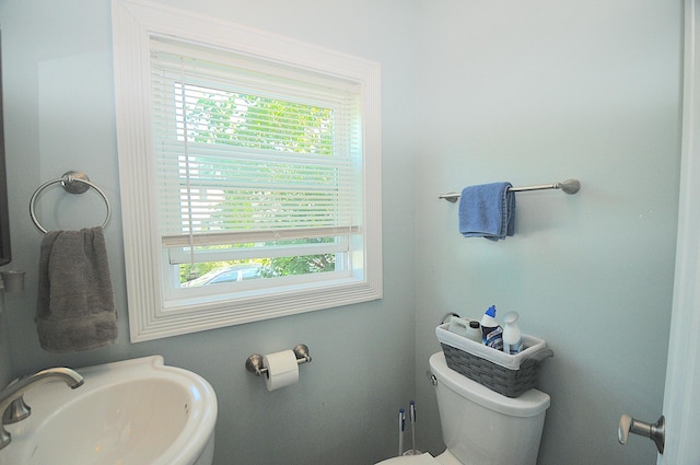 124 Palm St, Bangor, ME 04401 - photo 22