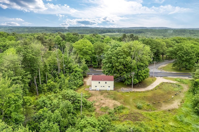 290 Gray Rd, Windham, ME 04062 - view of subject property featuring a forest