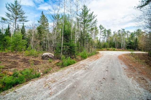 3 Forest Dr, Albany Twp, ME 04217 - view of dirt / gravel road with a view of trees