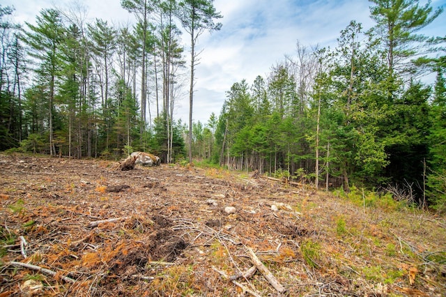 3 Forest Dr, Albany Twp, ME 04217 - view of tree filled area