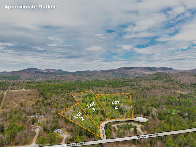 3 Forest Dr, Albany Twp, ME 04217 - aerial overview of property's location featuring a mountain backdrop and property parcel outlined