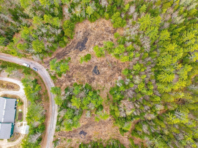 3 Forest Dr, Albany Twp, ME 04217 - view of property location