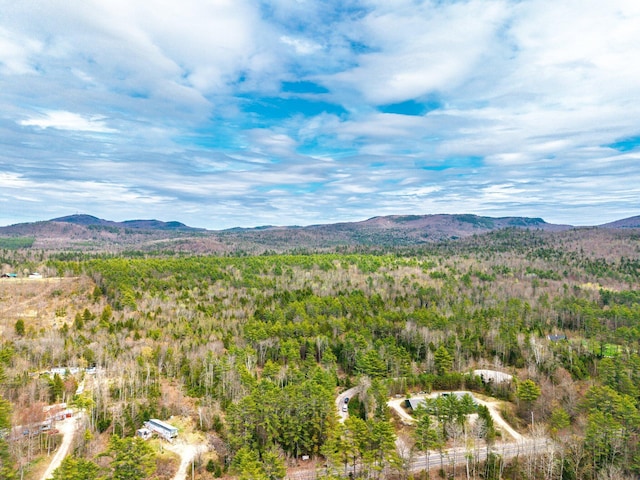 3 Forest Dr, Albany Twp, ME 04217 - mountain view featuring a heavily wooded area