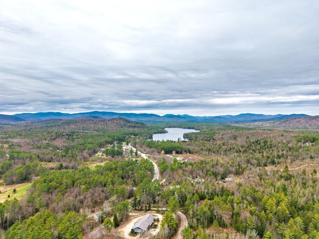 3 Forest Dr, Albany Twp, ME 04217 - aerial view of property and surrounding area featuring a water and mountain view