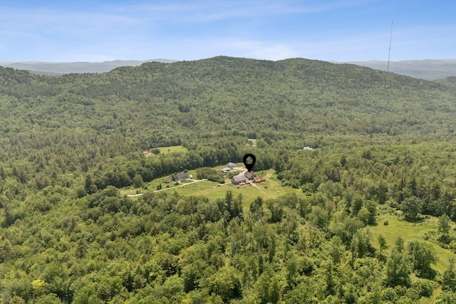 30 Graffam Rd, Baldwin, ME 04091 - bird's eye view of a heavily wooded area