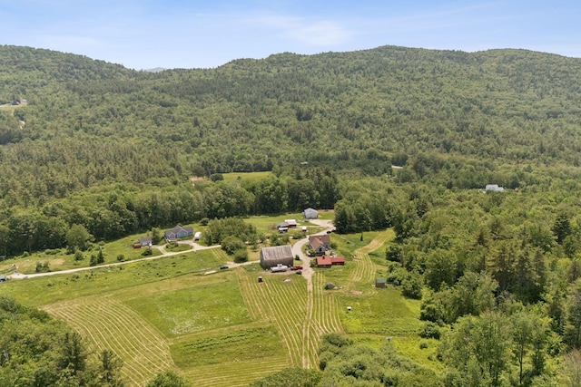 30 Graffam Rd, Baldwin, ME 04091 - overview of rural landscape featuring a heavily wooded area and a mountainous background