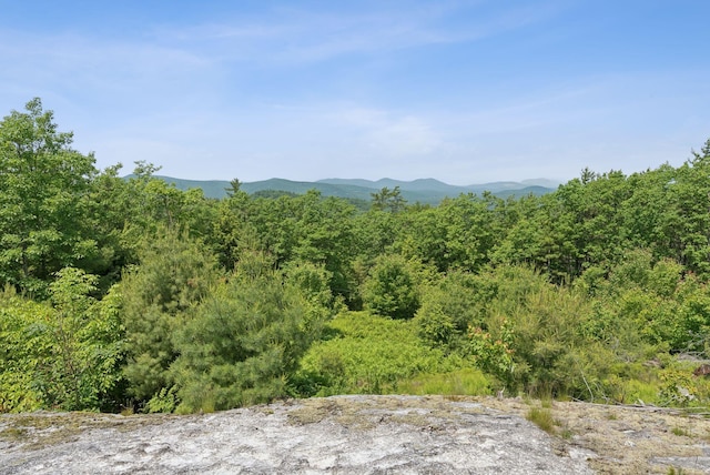 30 Graffam Rd, Baldwin, ME 04091 - view of mountain background with a forest