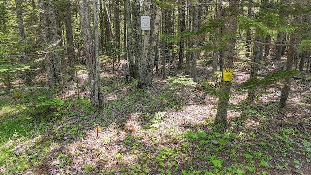 LOT6B Asas Ln, Lamoine, ME 04605