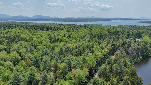 LOT6B Asas Ln, Lamoine, ME 04605