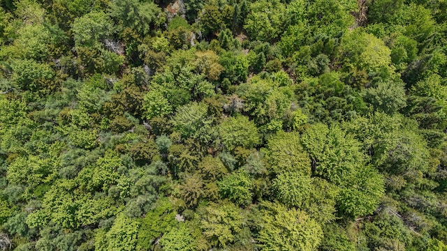 LOT6B Asas Ln, Lamoine, ME 04605