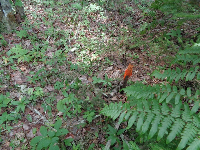 LOT6B Asas Ln, Lamoine, ME 04605