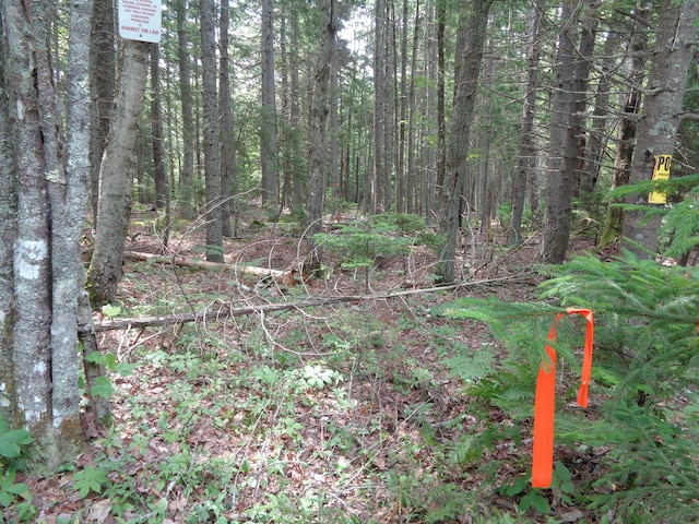 LOT6B Asas Ln, Lamoine, ME 04605