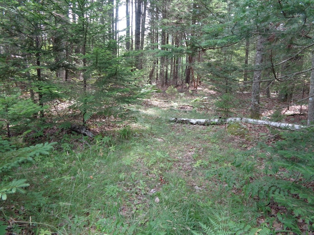LOT6B Asas Ln, Lamoine, ME 04605