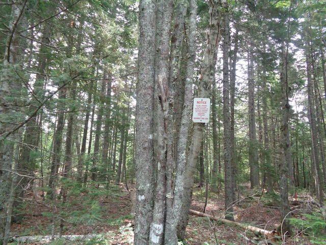LOT6B Asas Ln, Lamoine, ME 04605