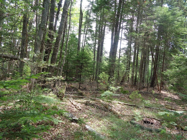 LOT6B Asas Ln, Lamoine, ME 04605