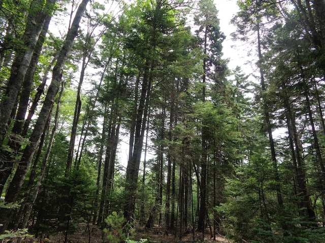 LOT6B Asas Ln, Lamoine, ME 04605