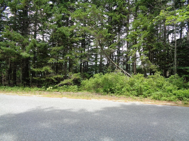 LOT6B Asas Ln, Lamoine, ME 04605