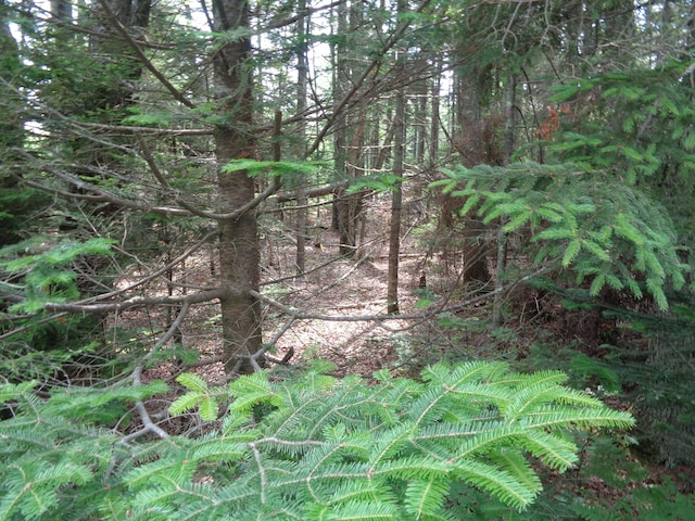 LOT6B Asas Ln, Lamoine, ME 04605
