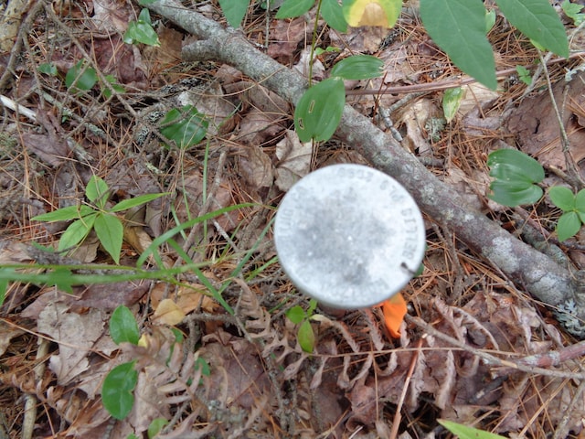 LOT6B Asas Ln, Lamoine, ME 04605