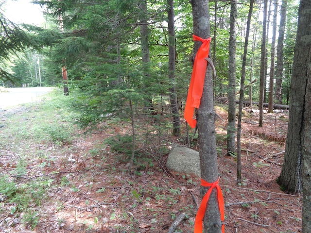 LOT6B Asas Ln, Lamoine, ME 04605