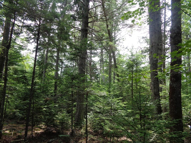 LOT6B Asas Ln, Lamoine, ME 04605